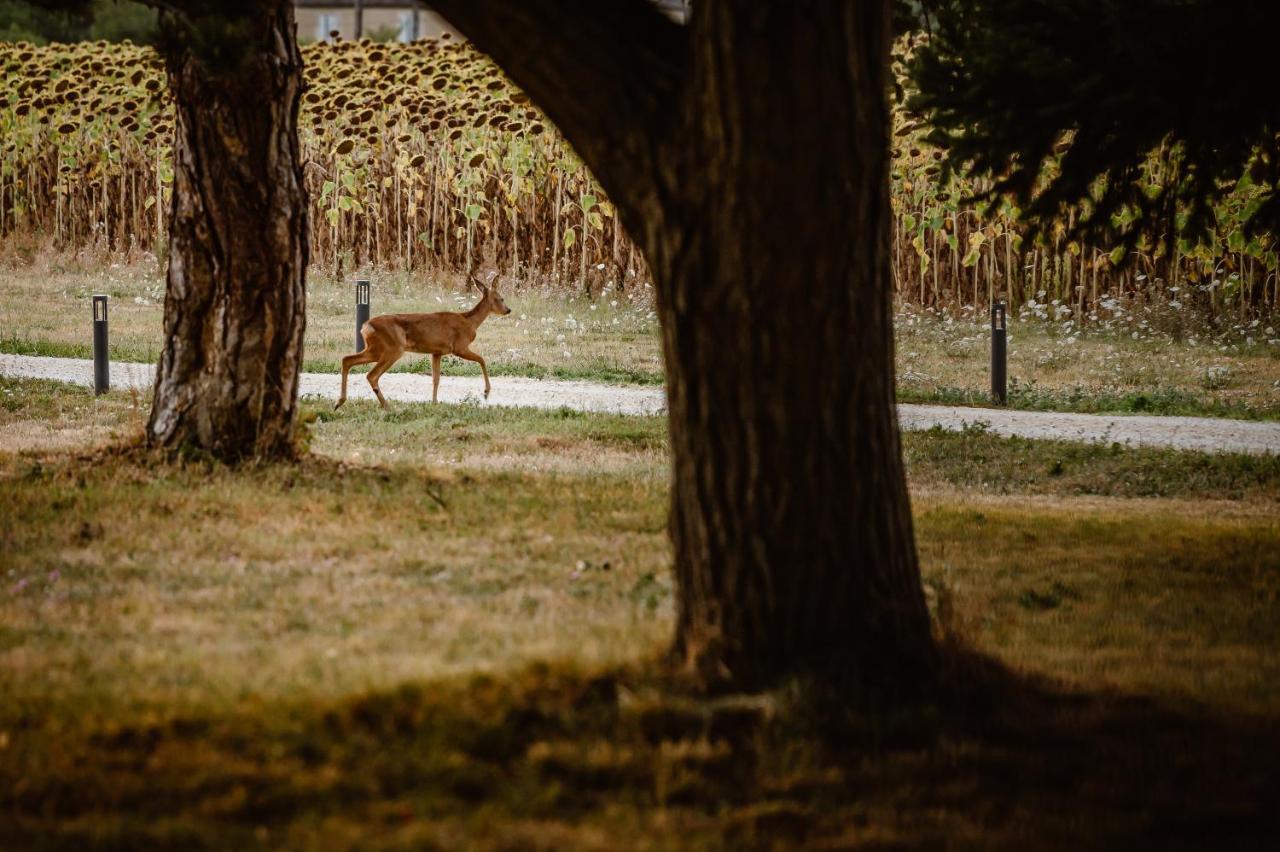 Hotel Domaine De Boulouch Lectoure Zewnętrze zdjęcie